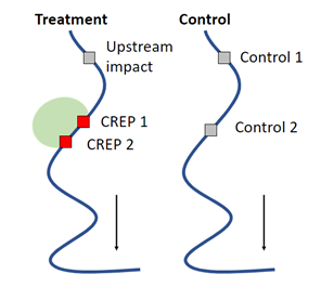 Schematic showing treatment stream with CREP and upstream impact sites, and control stream with control sites.