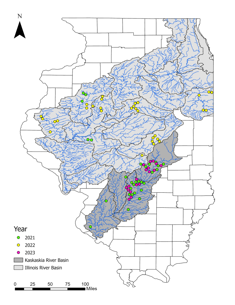 A map displaying the sites sampled in Phase IV by survey year the Illinois River and Kaskaskia River basins.